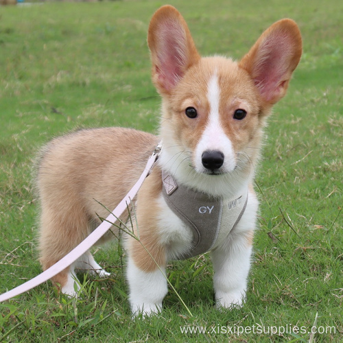Wholesale Fashion Dog Harness And Leash